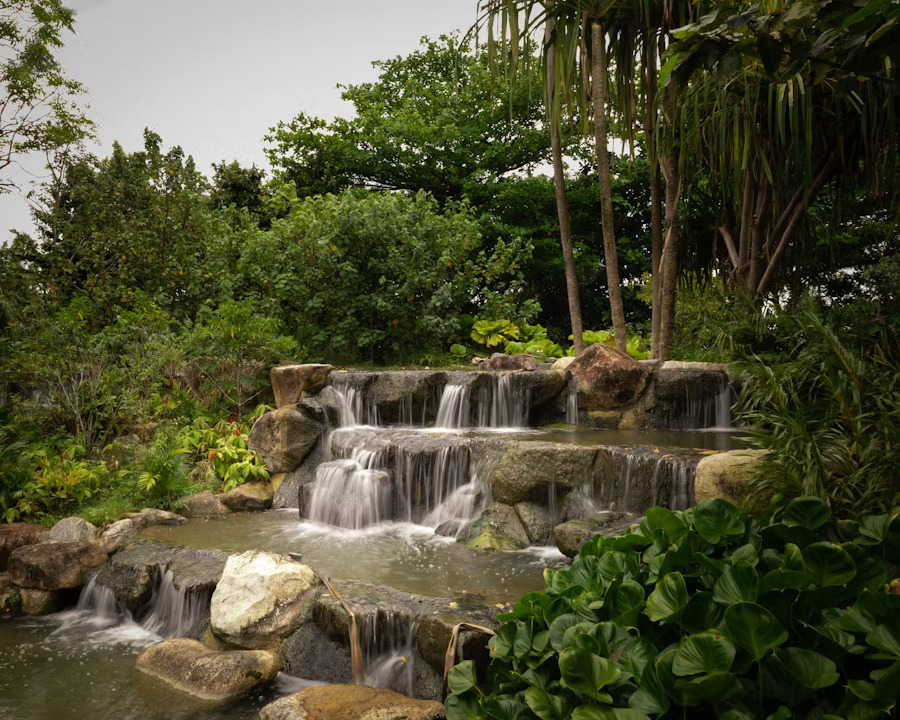 Environment