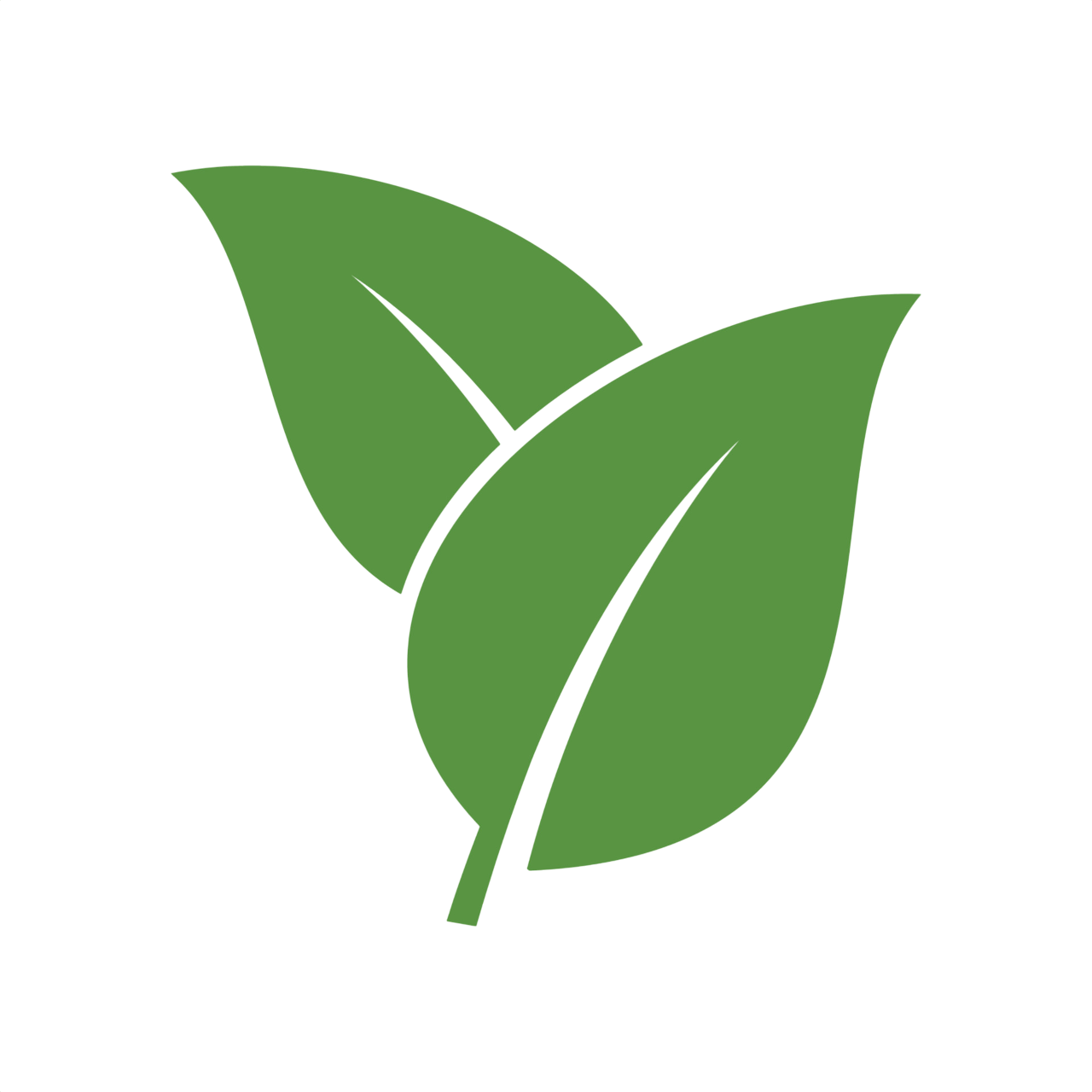 GENERAL icon